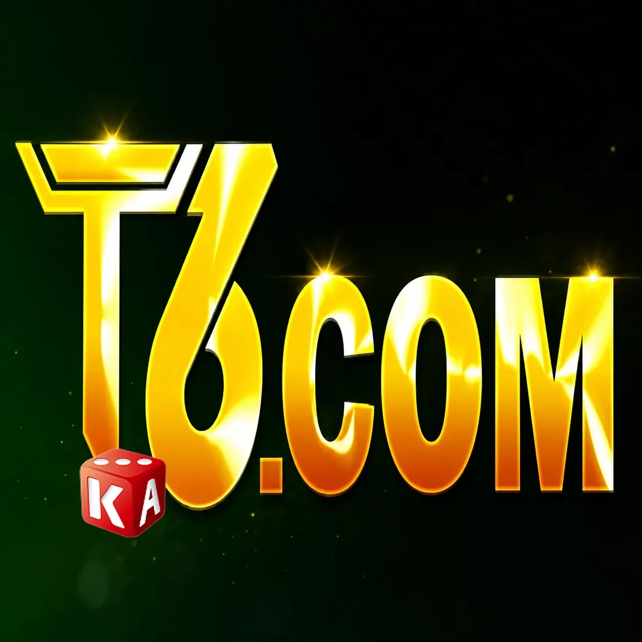 Logo t6